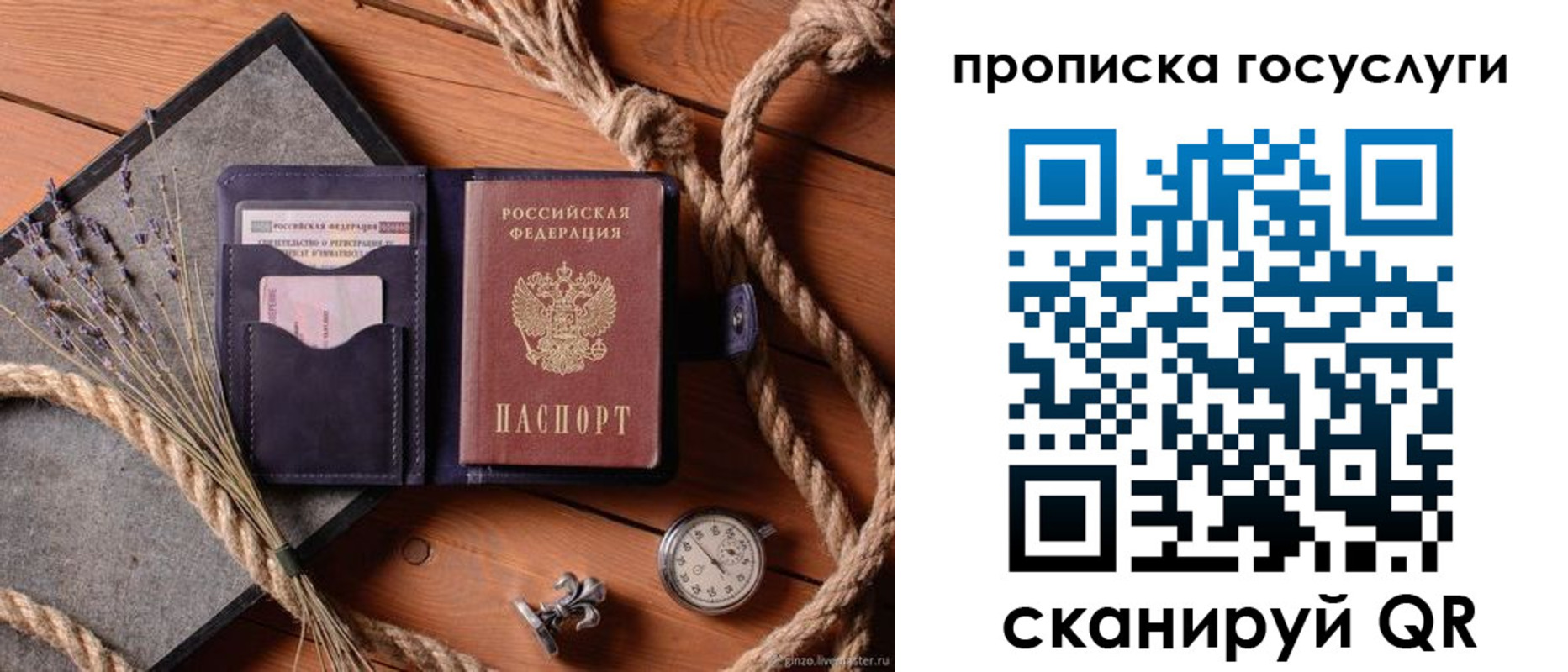 прописка поиск в Ясном